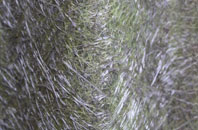 Glandford fibreglass roof work